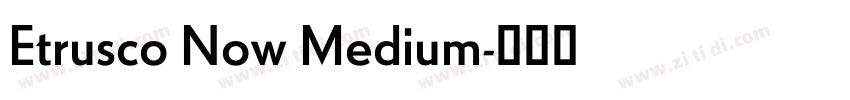 Etrusco Now Medium字体转换